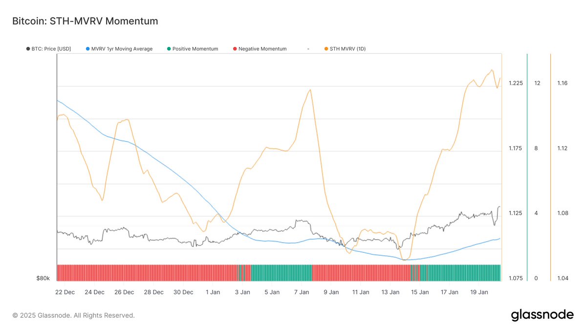 Kısa Vadeli Bitcoin Yatırımcıları İçin Kararlılık Sinyalleri