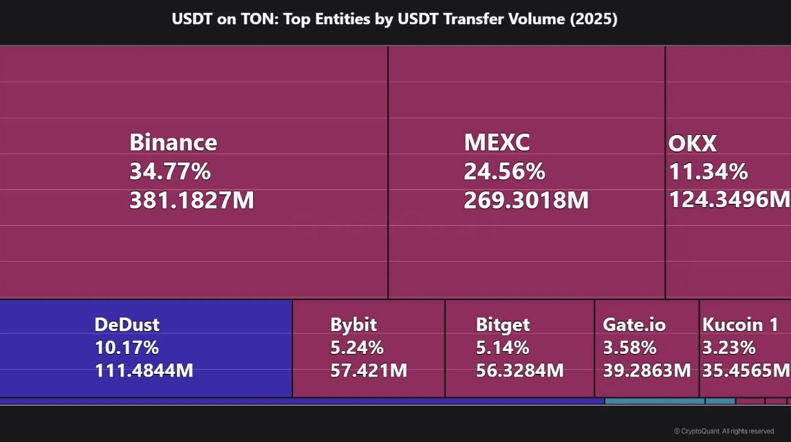 Binance, USDT İşlemlerinde TON'da Liderliğini Güçlendirdi