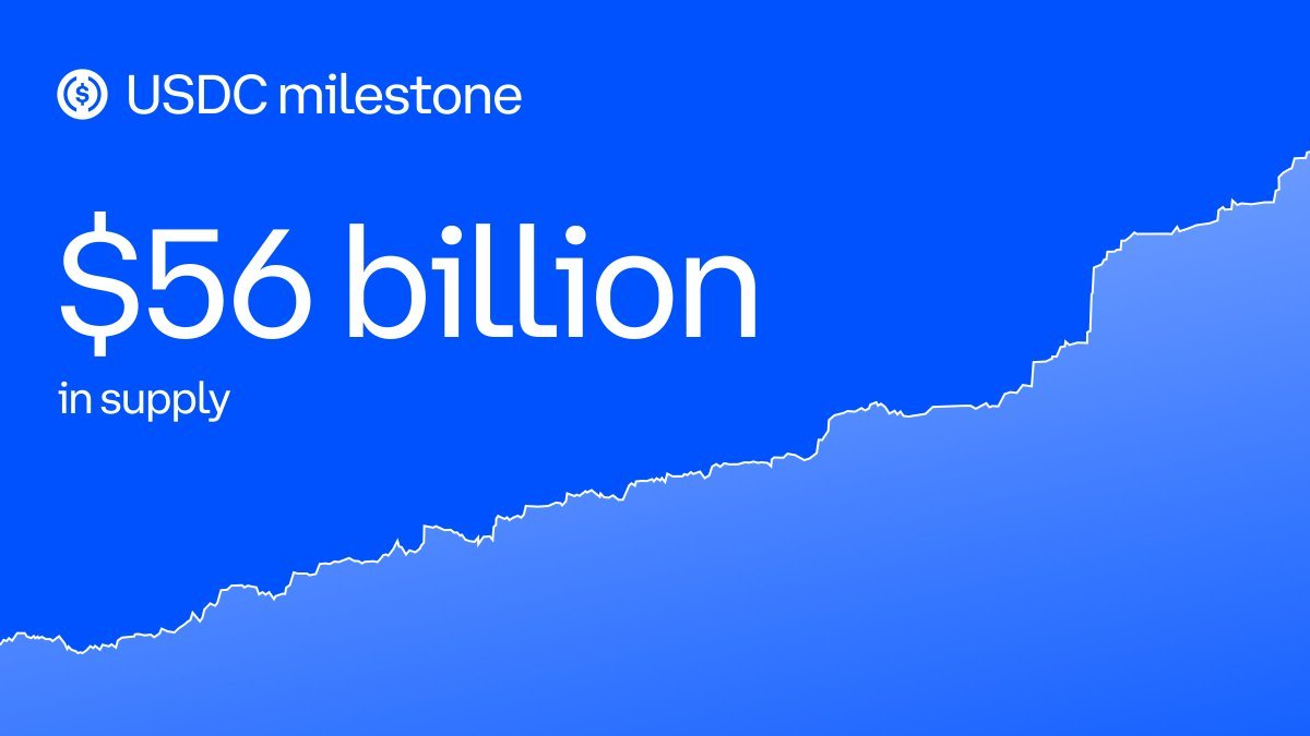 USDC Arzı Yeni Rekor Seviyeye Ulaştı: 56 Milyar Dolar!