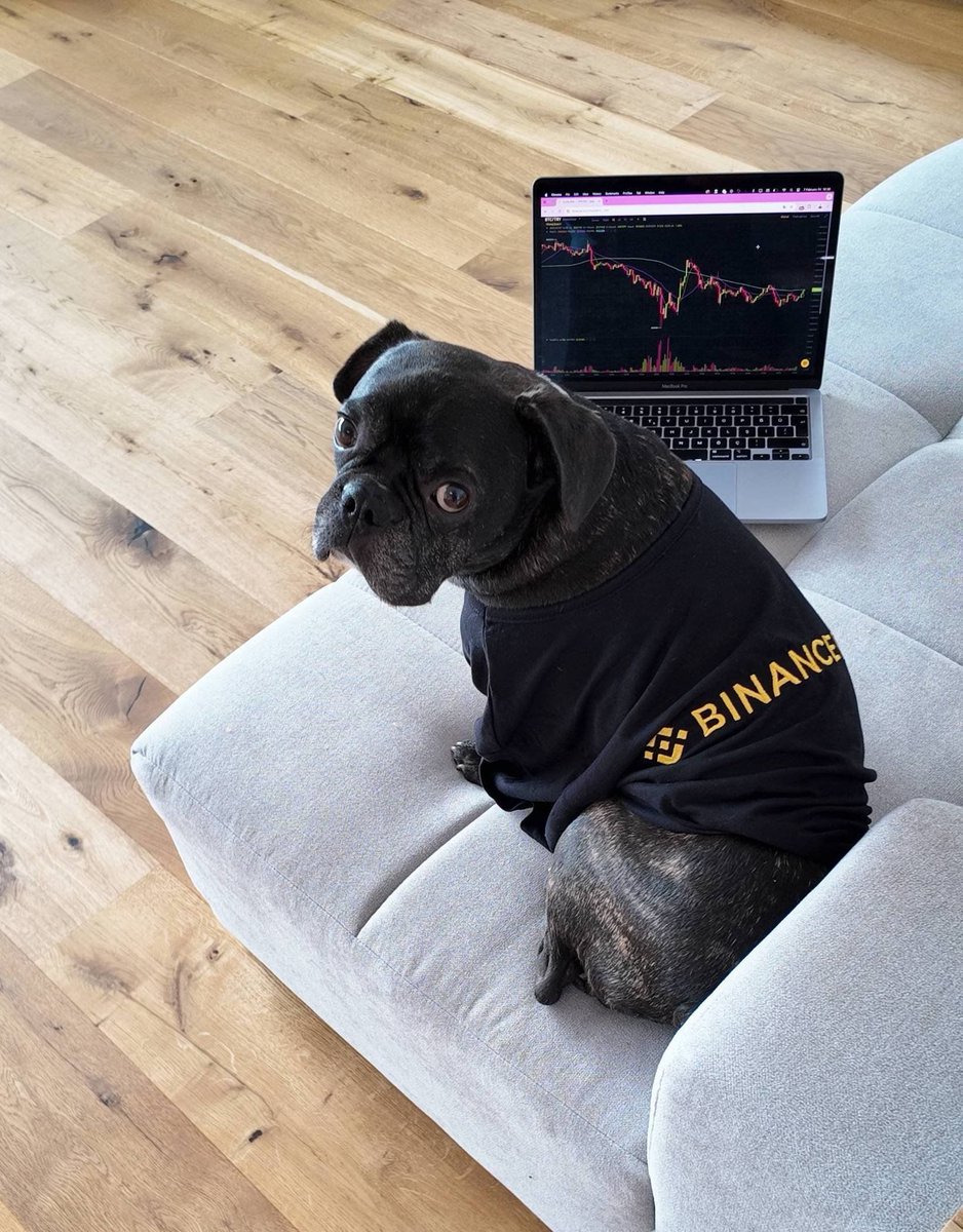 Kripto Para Borsası Binance'de İlginç Bir Deney: Köpek Yönetiminde Portföy Performansı