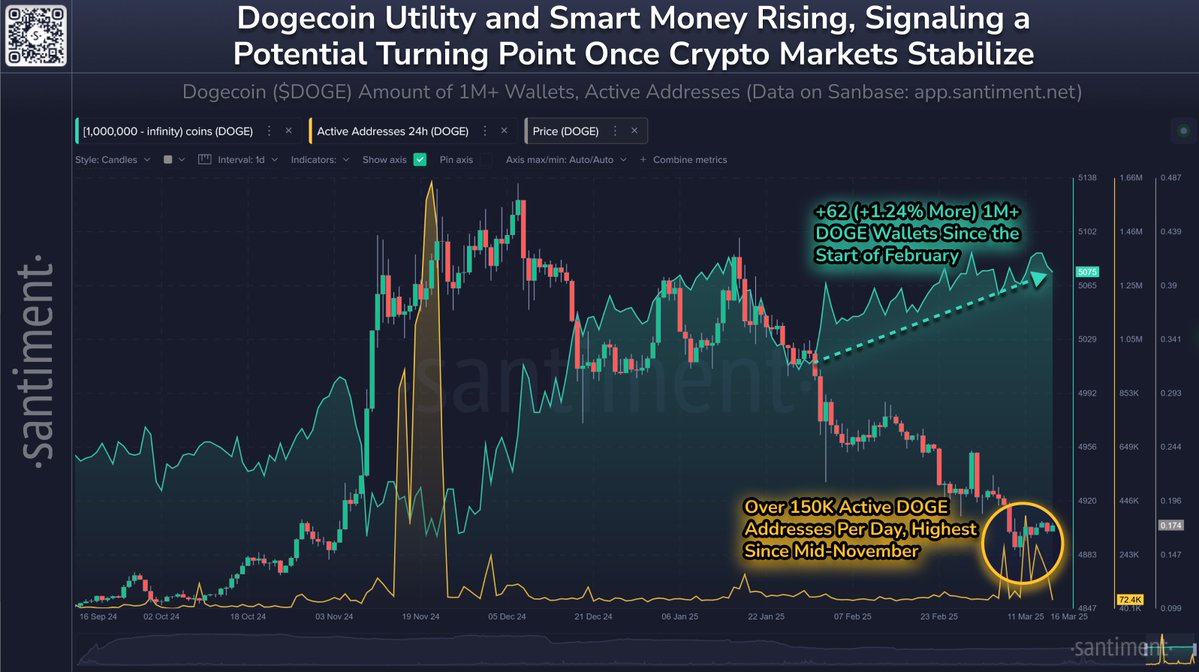 Dogecoin’de Balina Yatırımcılar Artıyor, Fiyattaki Düşüşe Rağmen İlgi Devam Ediyor