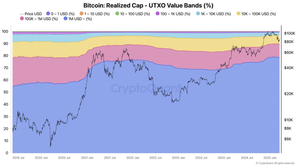 Bitcoin Ağında Büyük Yatırımcıların Rolü Artıyor