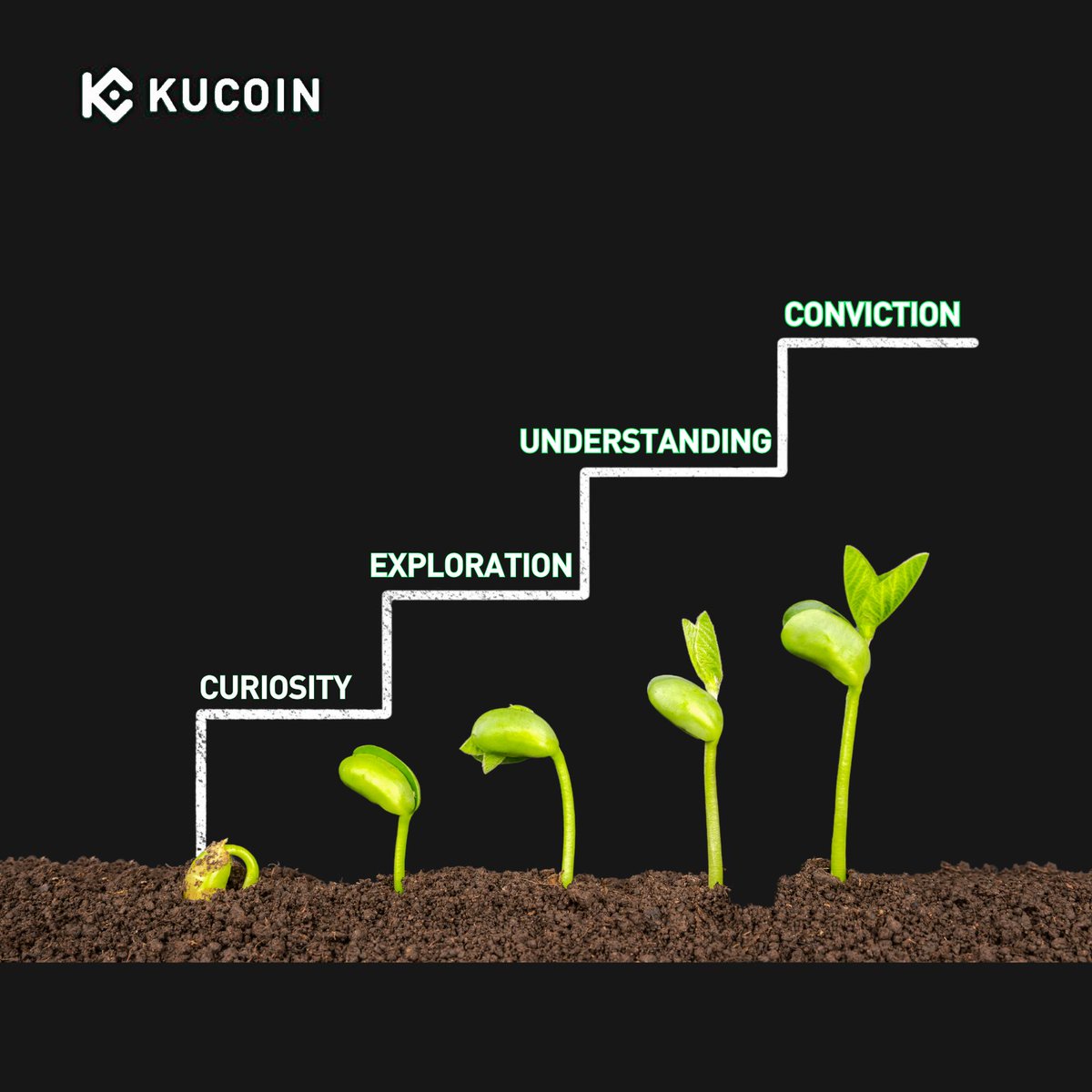 Kripto Para Borsası KuCoin'de Yeni Gelişmeler