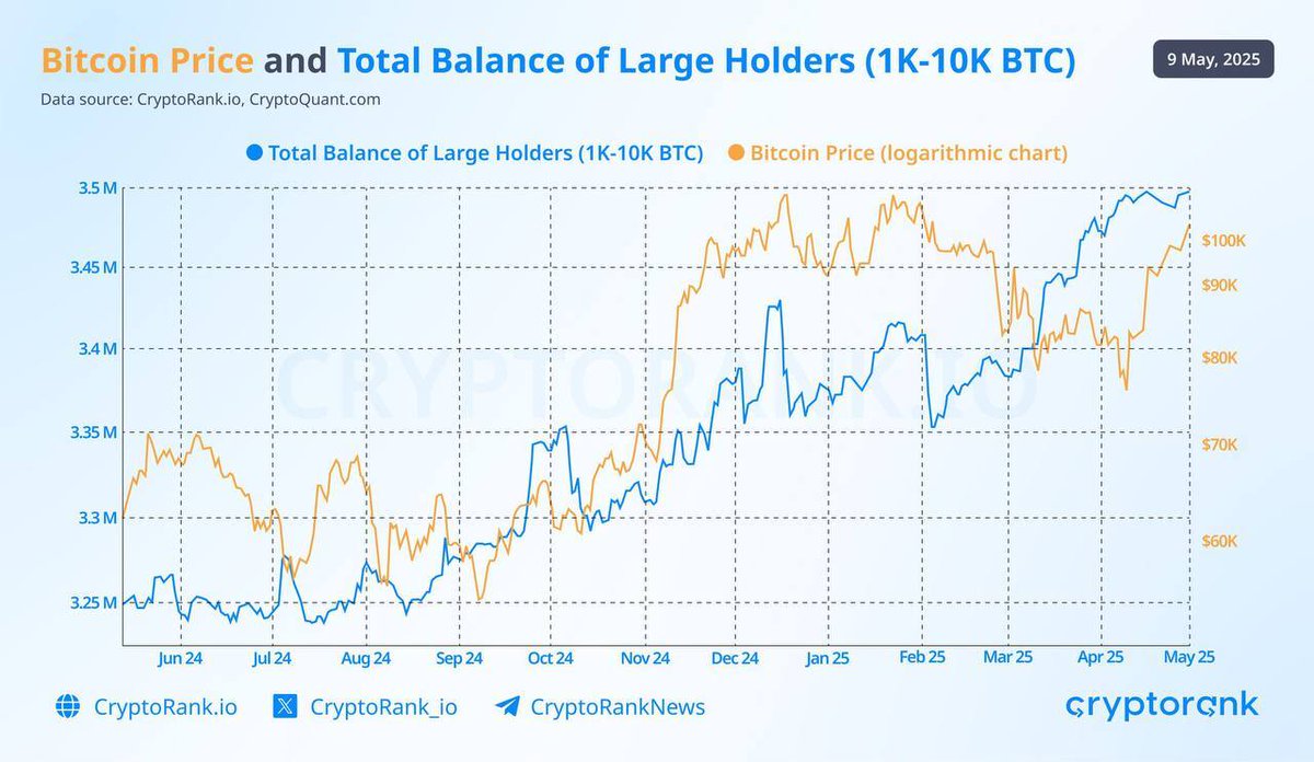 Büyük Bitcoin Cüzdanları Portföylerini Artırdı: Piyasa İşaretleri mi?