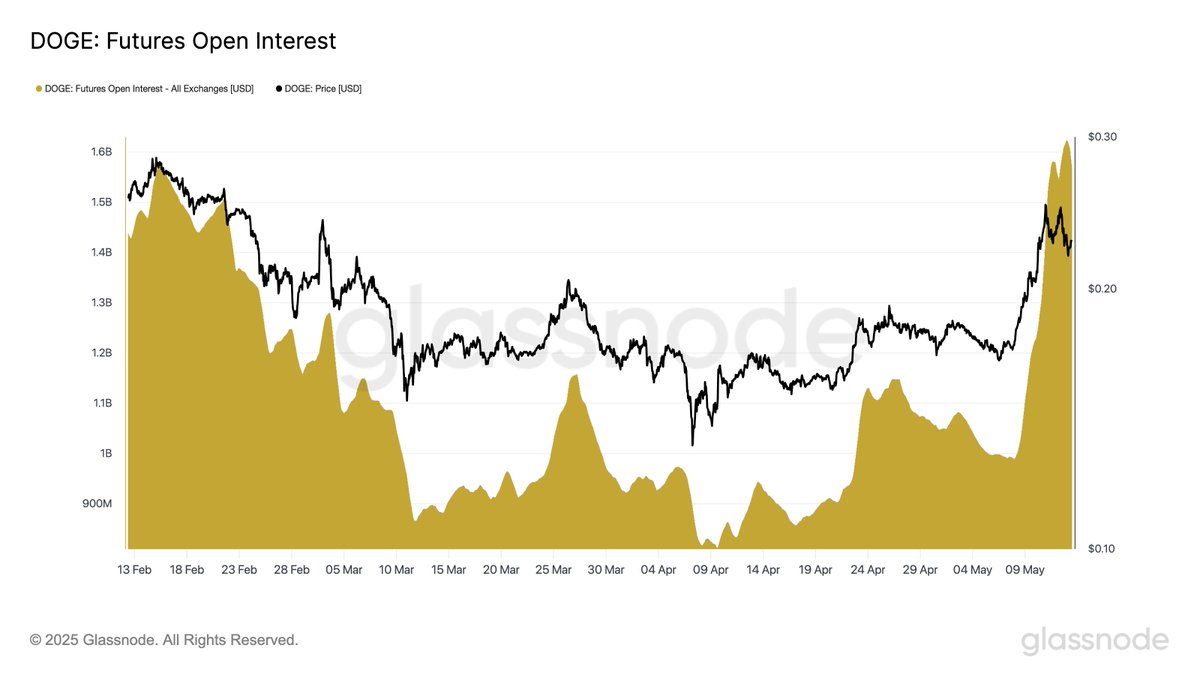 Dogecoin'deki Fiyat Düşüşüne Rağmen Türev Piyasasındaki İlgi Artıyor