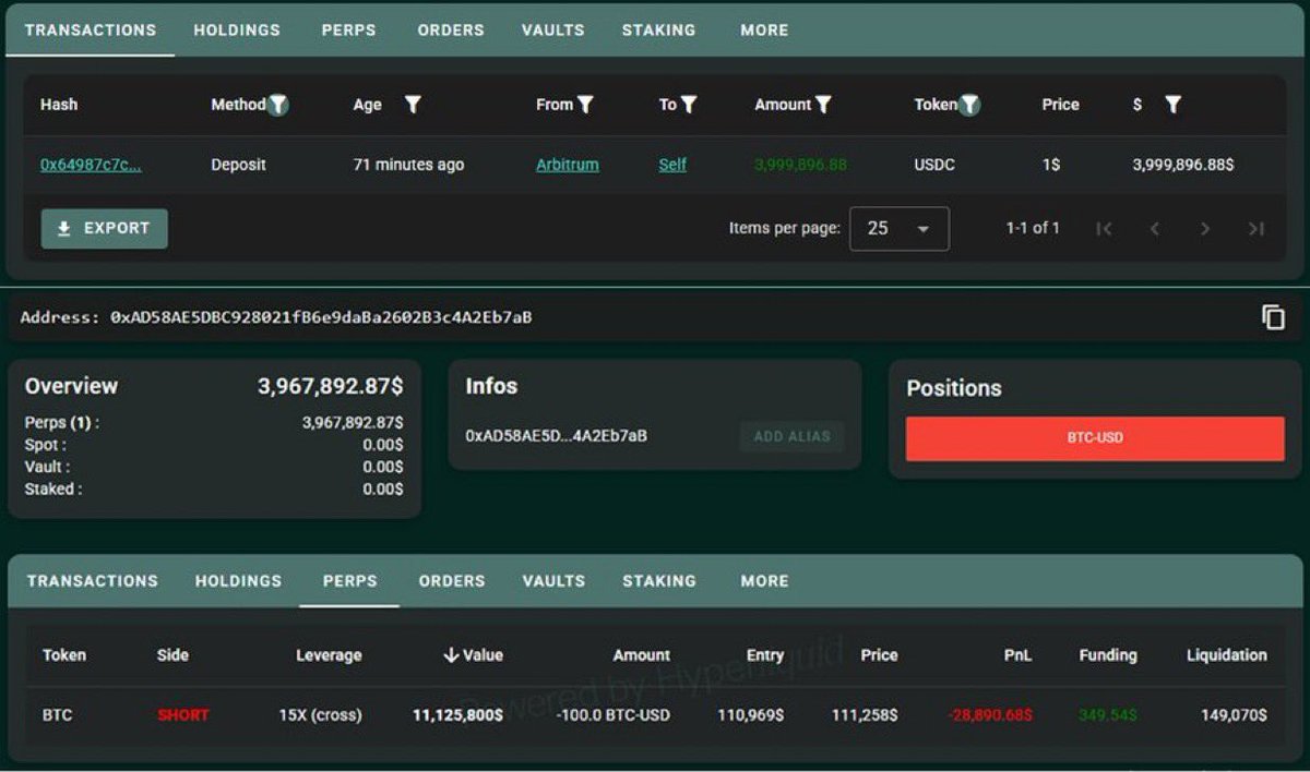 Kripto Piyasasında Büyük Balina Yatırımı ve Bitcoin Kısa Pozisyonu Açıldı