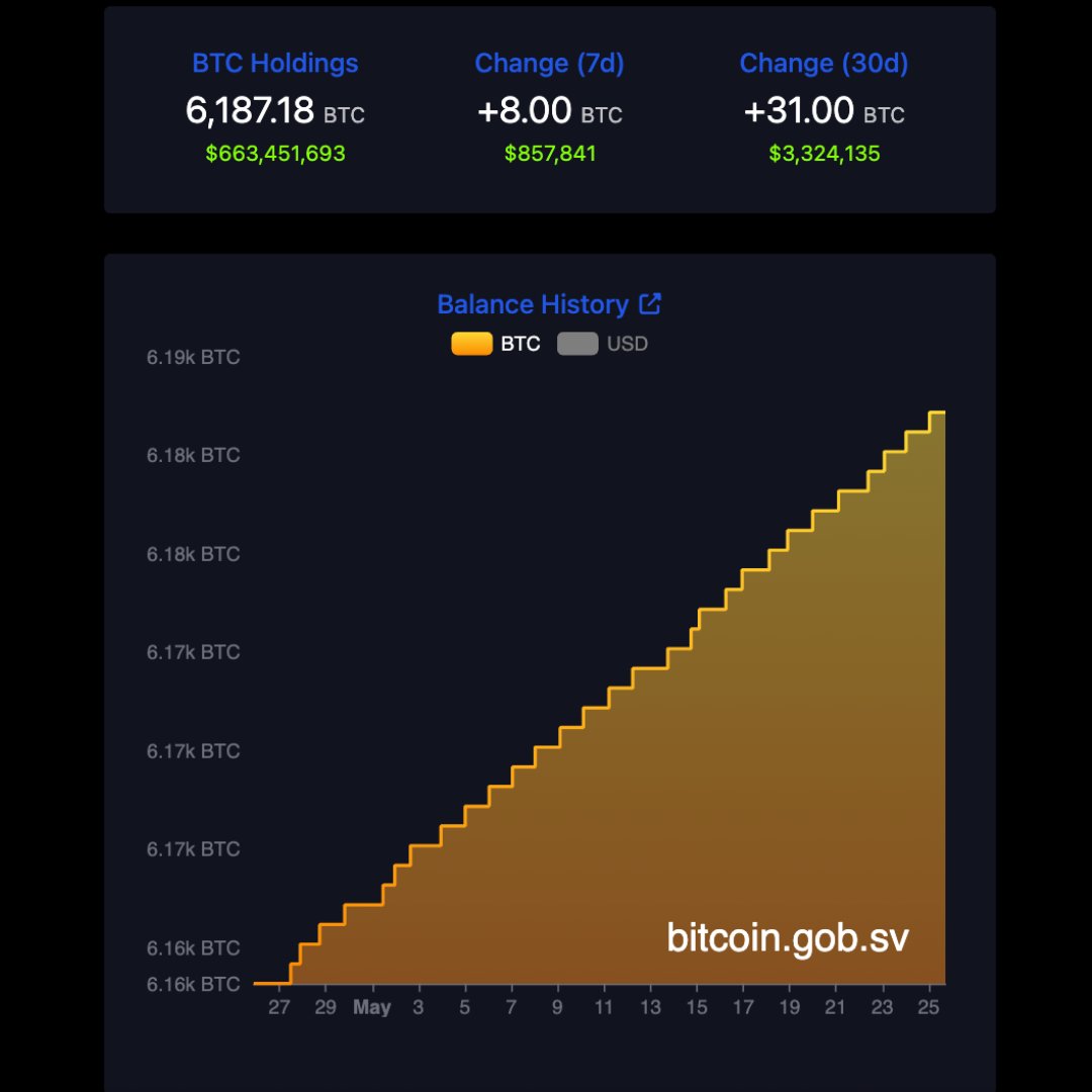 El Salvador, Son 7 Günde 8 Bitcoin Daha Satın Aldı